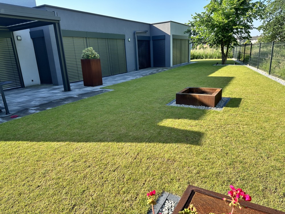 Ogród New-Garden